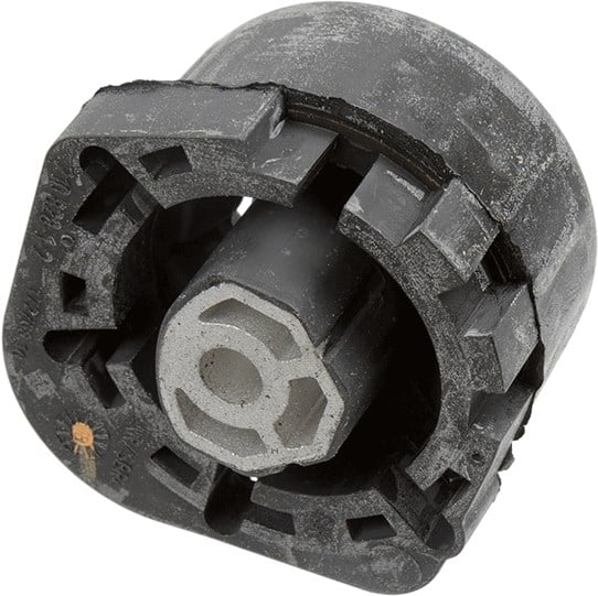 ŞANZIMAN KULAĞI