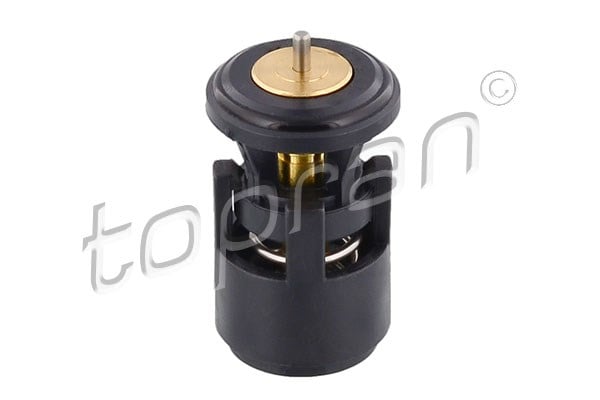 TERMOSTAT 87C