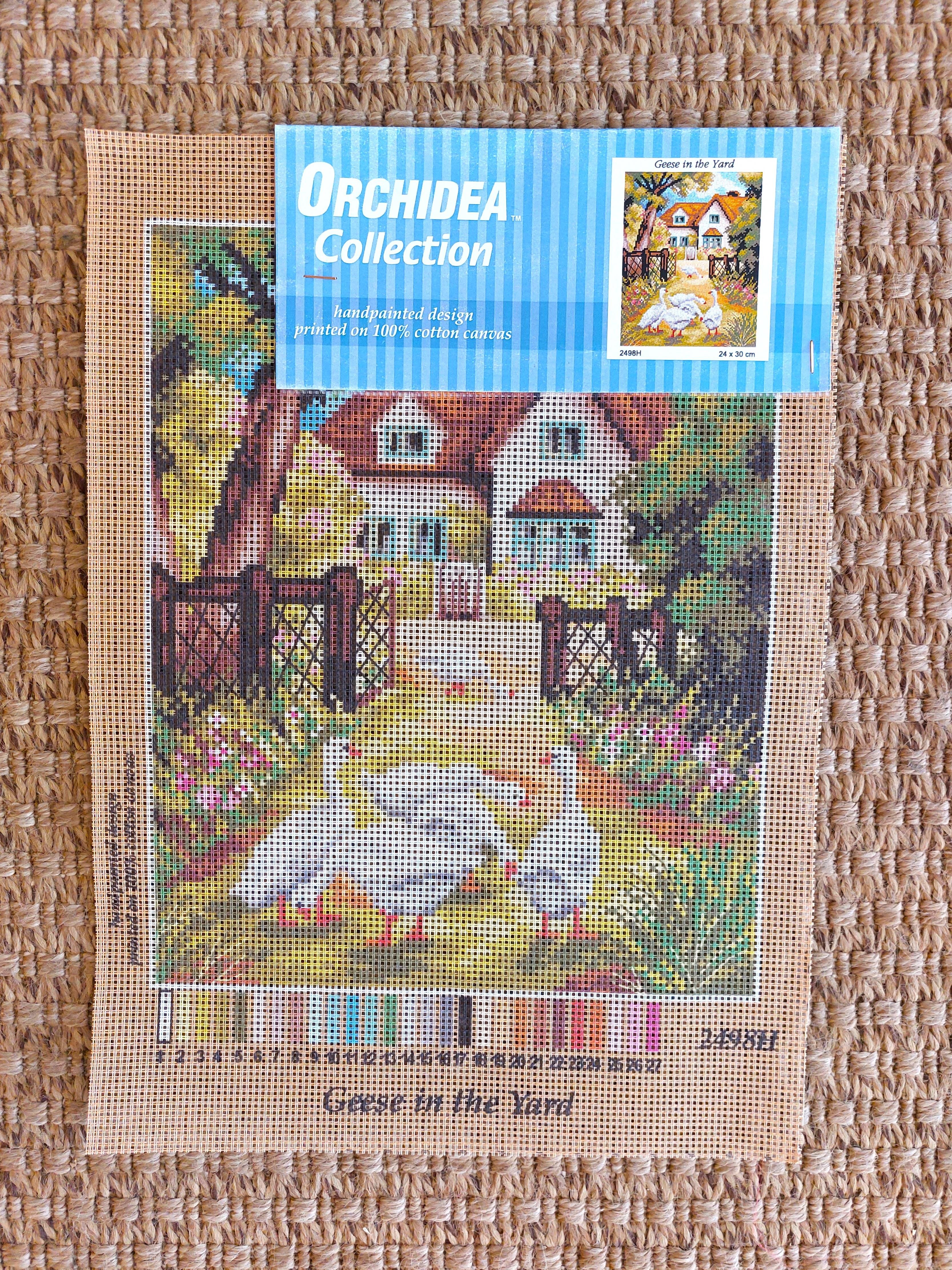 orchidea-2498-goblen-c4-42d.jpg