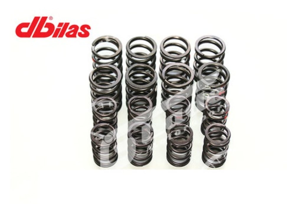  DBILAS 62300001 Valf Yayı Kiti (Mechanical + Hydro)