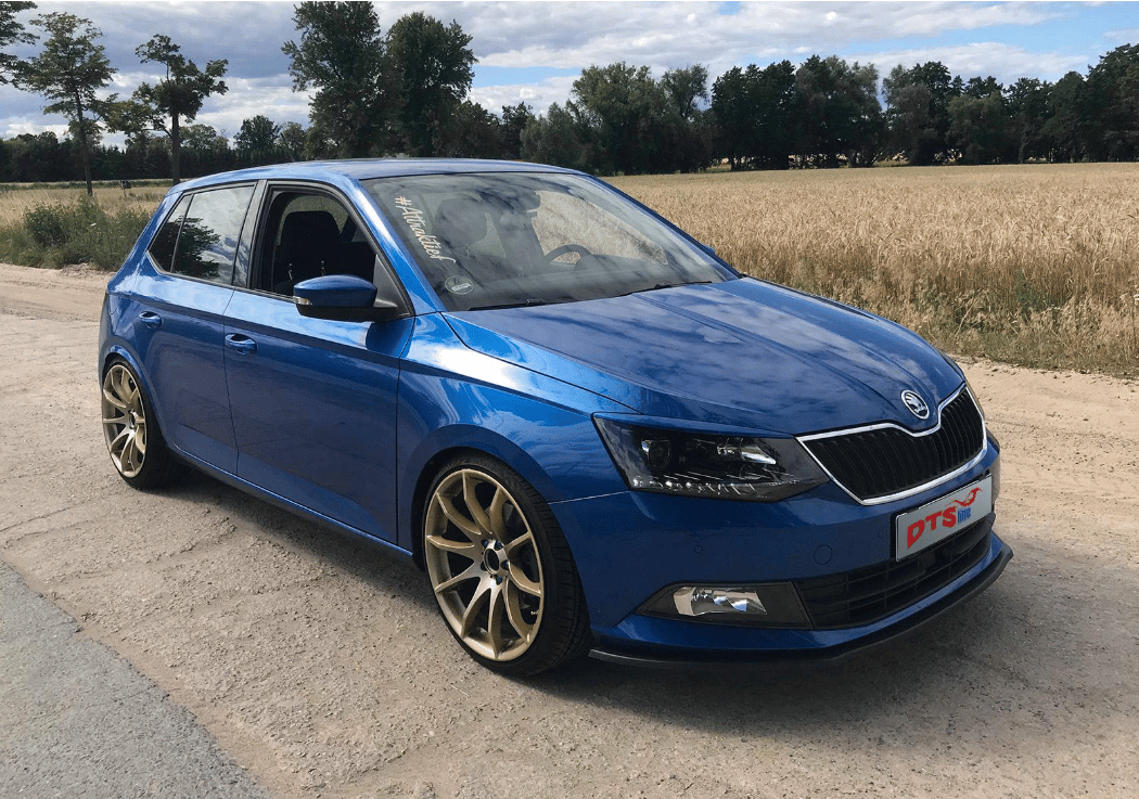 DTSLine SX Coilover Yükseklik Ayarlı Coilover Seti – Audi A1 / VW Polo / Seat Ibiza / Skoda Fabia