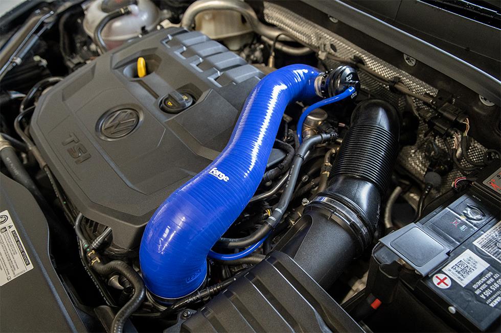 FORGE FMDV39 blue 