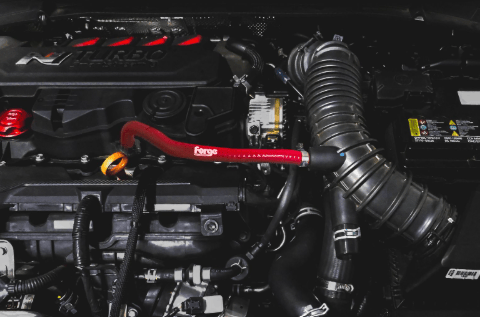 Forge Motorsport Yağ Tahliye Hortumu – Hyundai i20N & Elantra N Line 1.6 GDI mavi