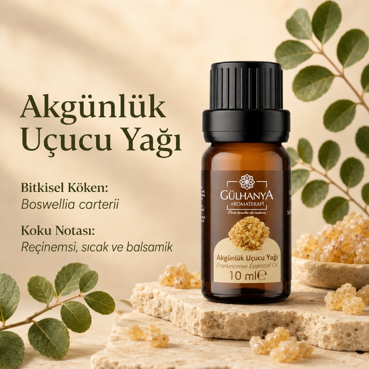 Akgünlük Uçucu Yağı 10ml