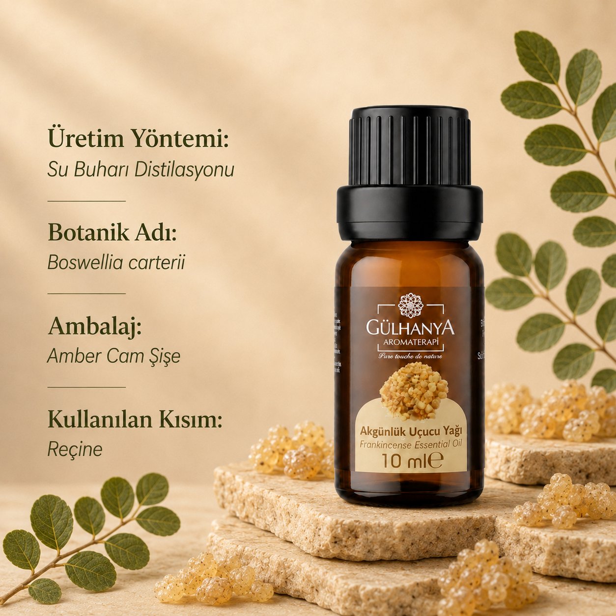 Akgünlük Uçucu Yağı 10ml