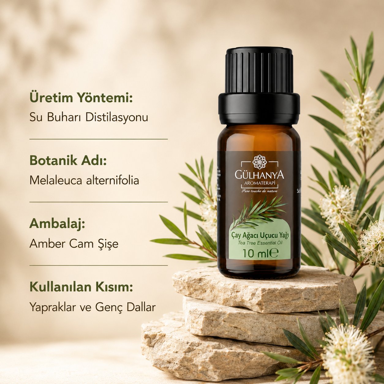 Çay Ağacı Uçucu Yağı 10ml