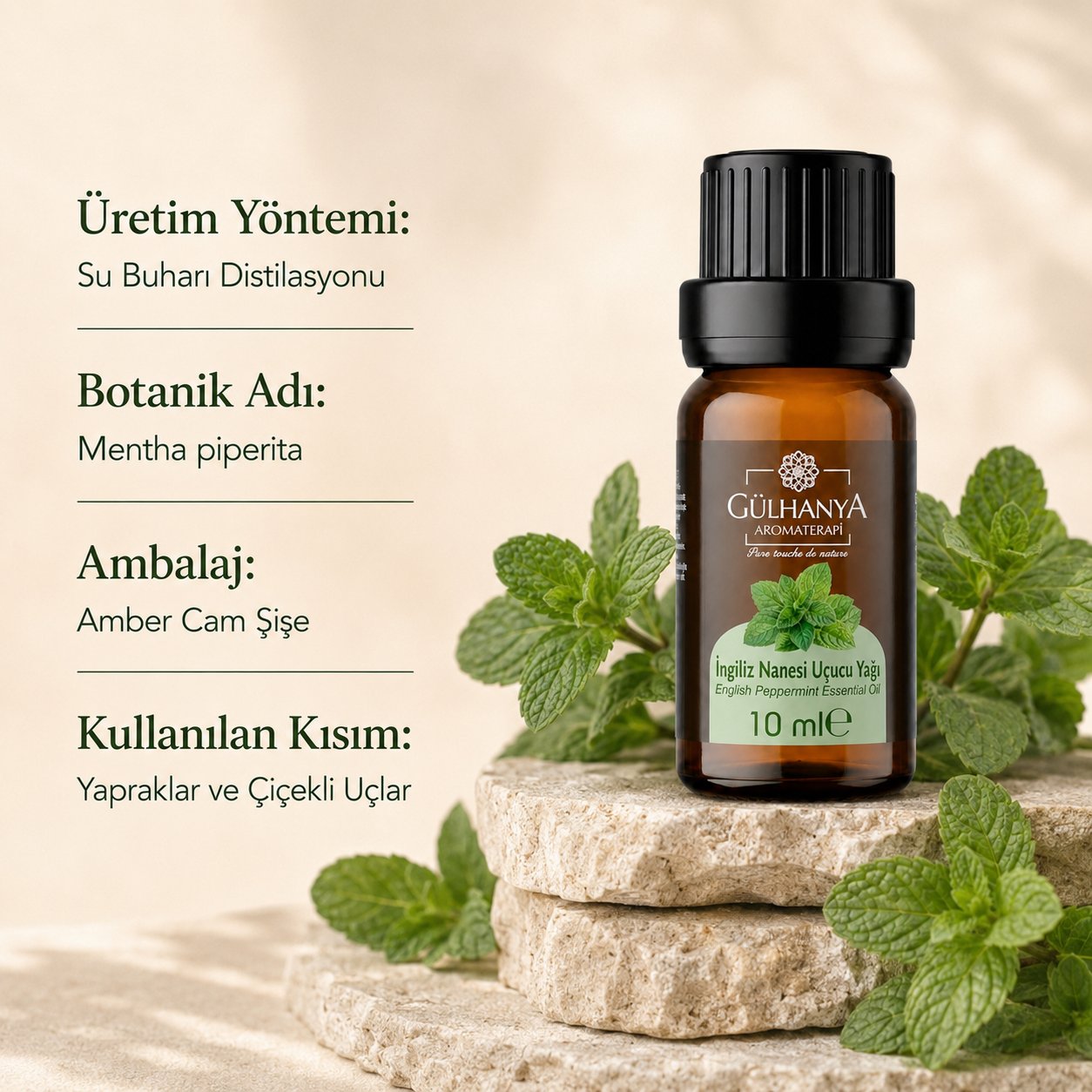 İngiliz Nanesi Uçucu Yağı 10ml