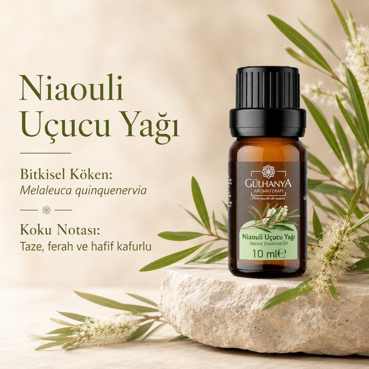 Niaouli Uçucu Yağı 10ml