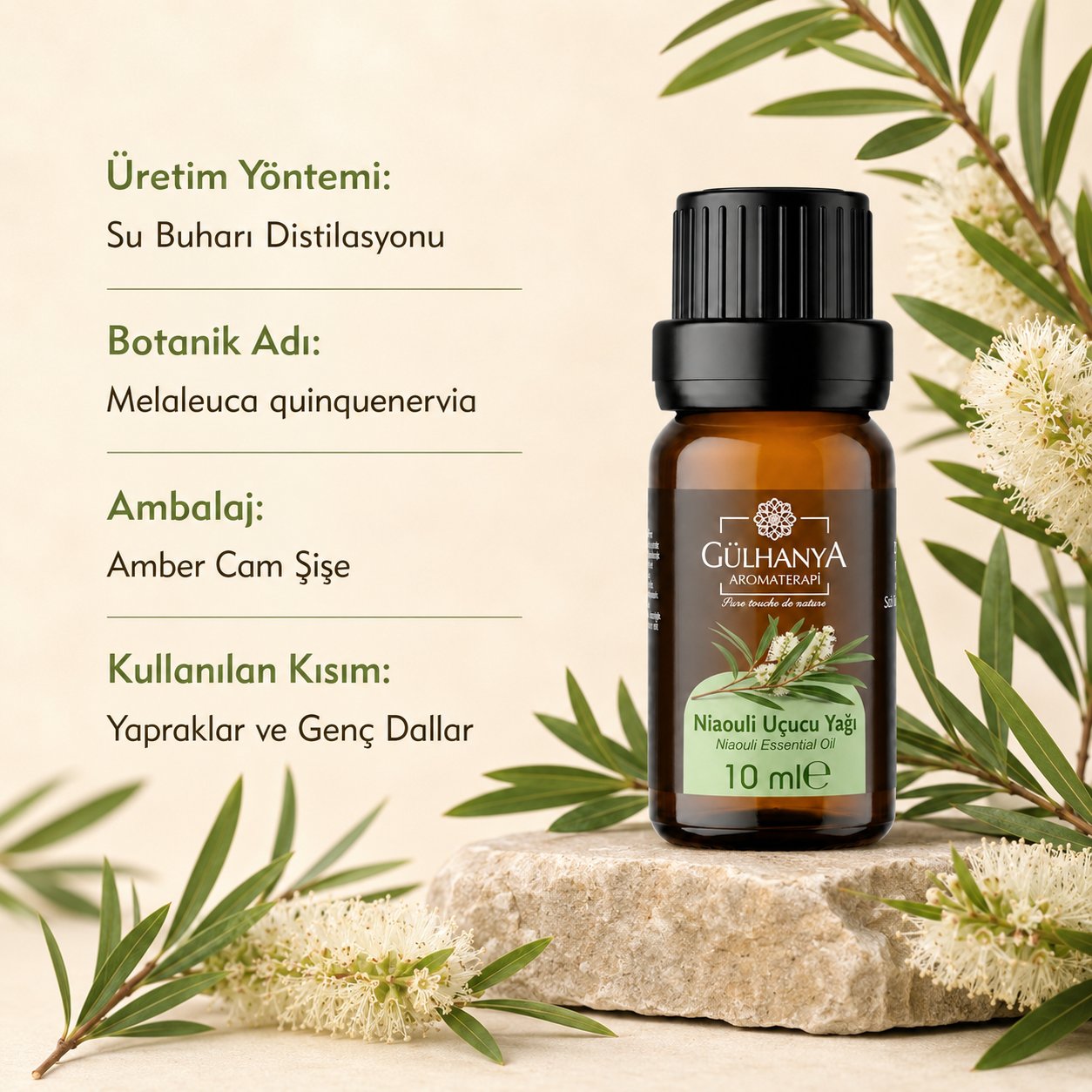 Niaouli Uçucu Yağı 10ml
