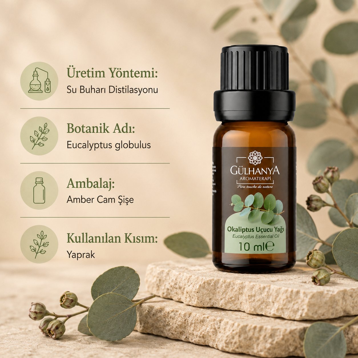 Okaliptus Uçucu Yağı 10ml