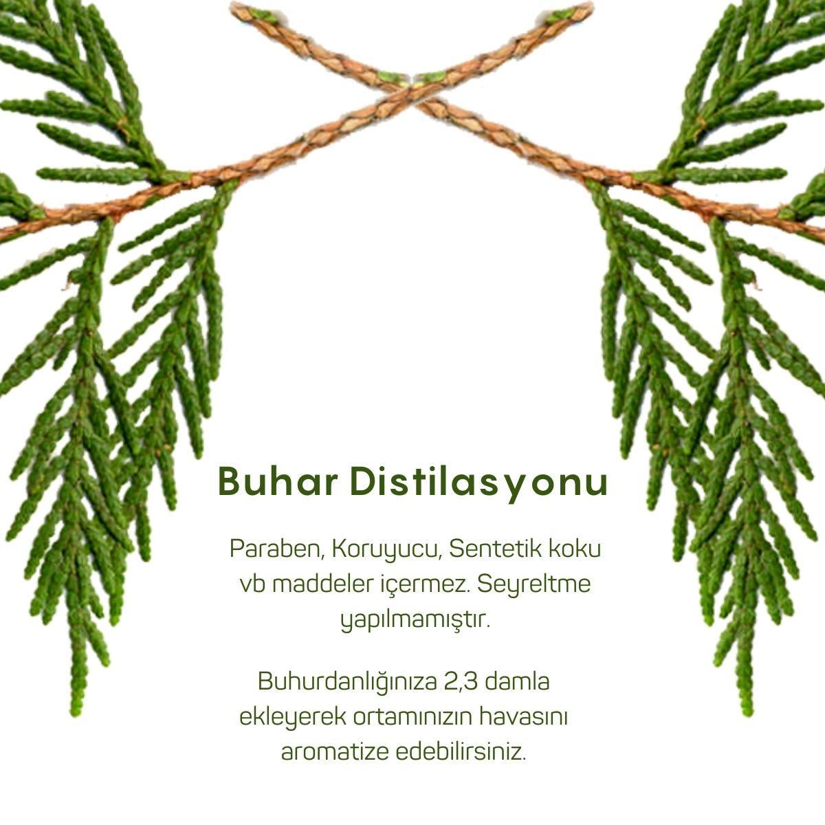 Sedir Uçucu Yağı 10ml