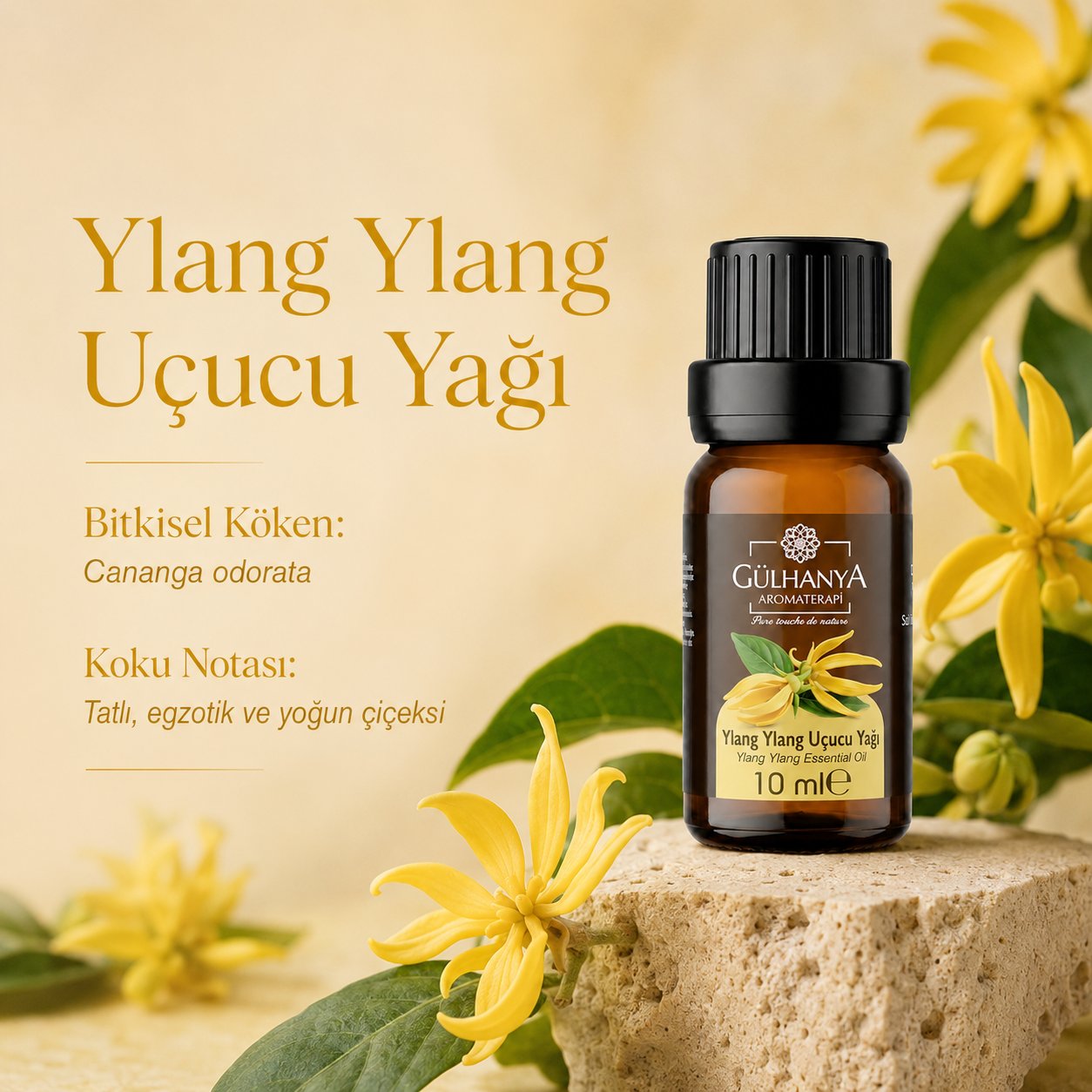 Ylang Ylang Uçucu Yağı 10ml