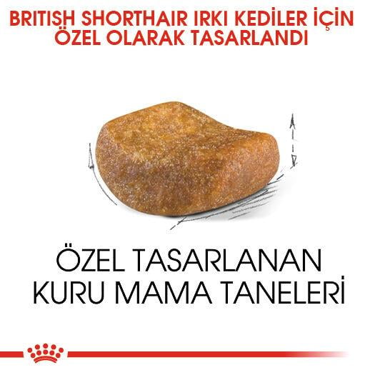 British Shorthair Adult Yetişkin Kedi Kuru Maması 2 KG