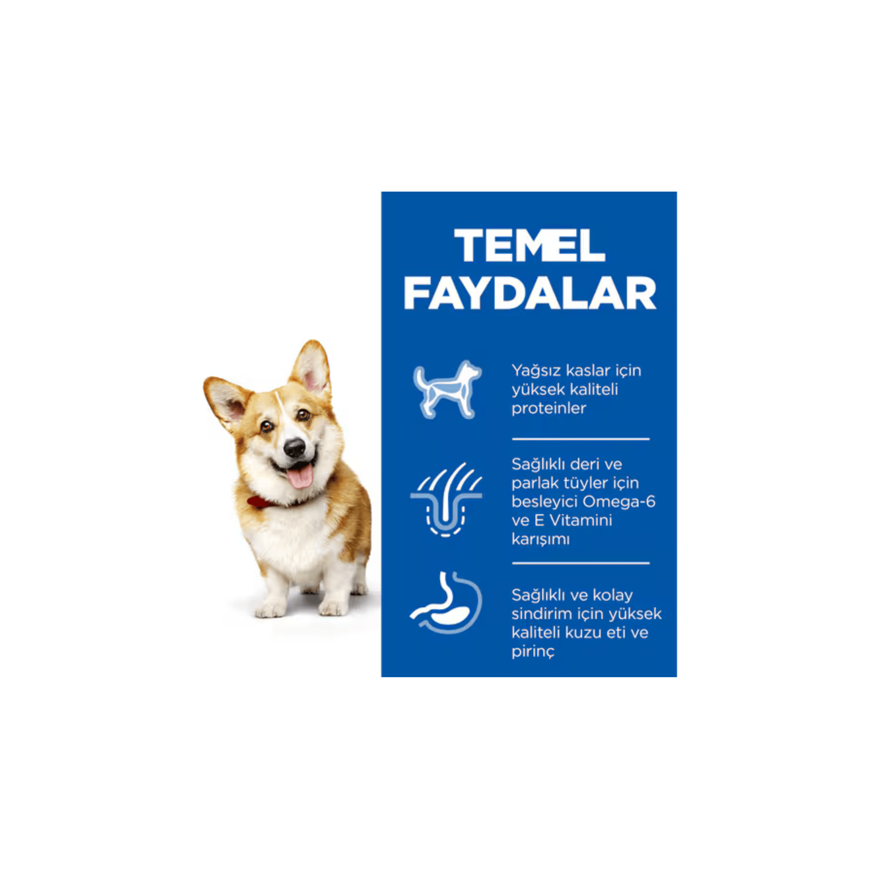 Hill's SP Kuzulu ve Pirinçli Küçük ve Mini Irk Yetişkin Köpek Maması 1,5KG