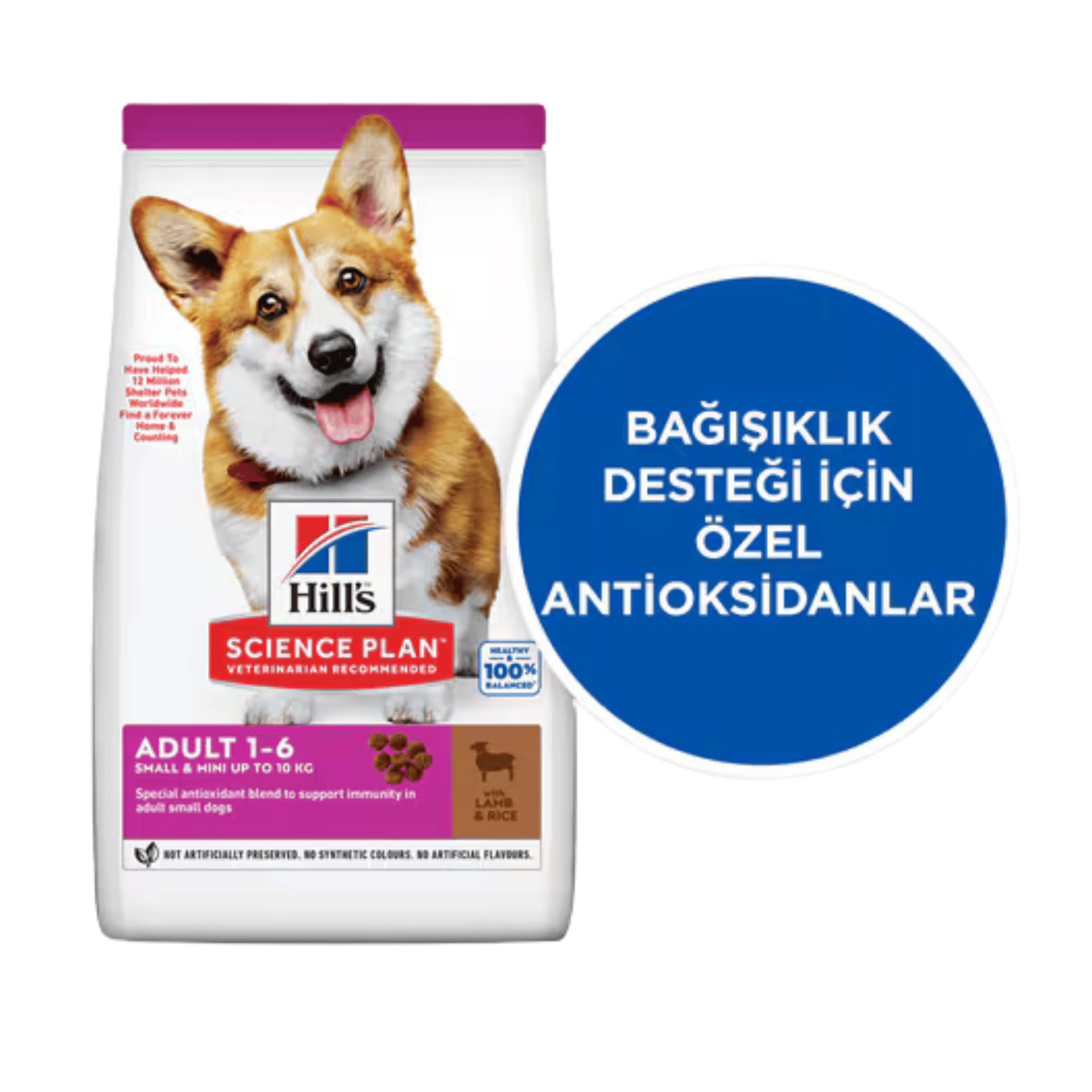 Hill's SP Kuzulu ve Pirinçli Küçük ve Mini Irk Yetişkin Köpek Maması 1,5KG