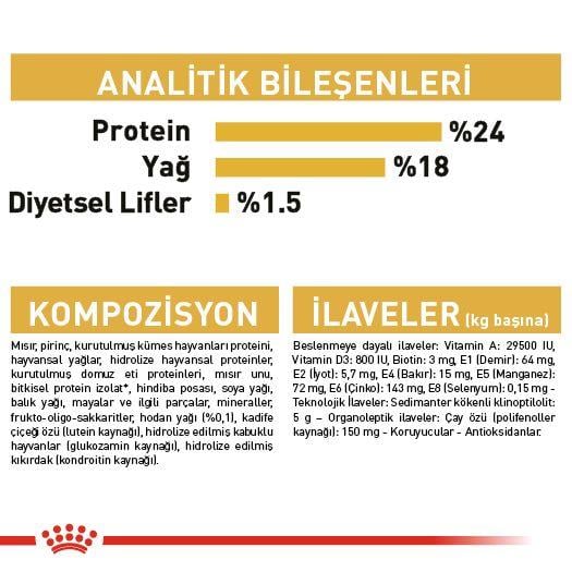 Maltese Adult Yetişkin Köpek Kuru Maması 1.5 KG