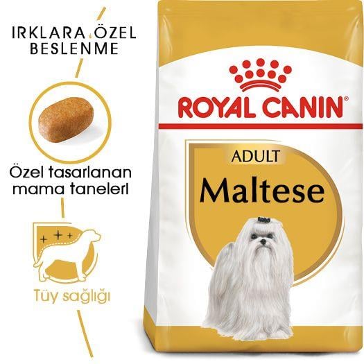 Maltese Adult Yetişkin Köpek Kuru Maması 1.5 KG