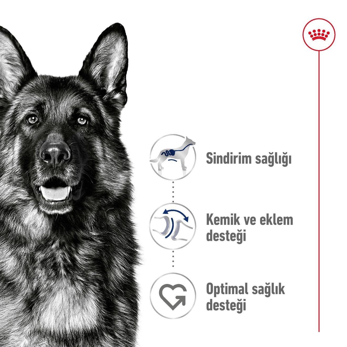 Maxi Adult Yetişkin Köpek Kuru Maması 15 KG