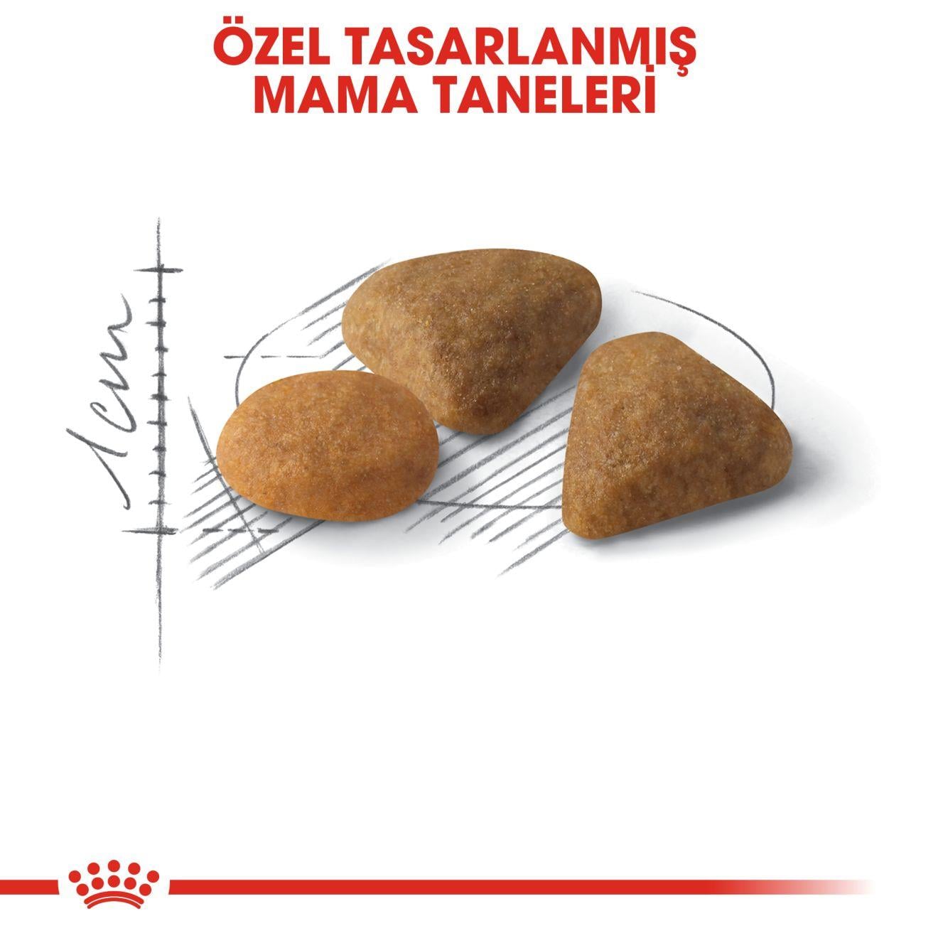 Savour Exigent Yetişkin Kedi Kuru Maması 2 KG