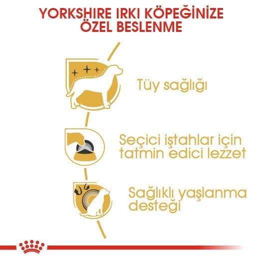 Yorkshire Terrier Adult Yetişkin Köpek Kuru Maması 1.5 KG