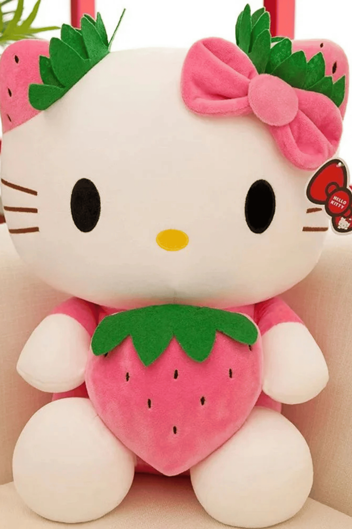 hello kityy