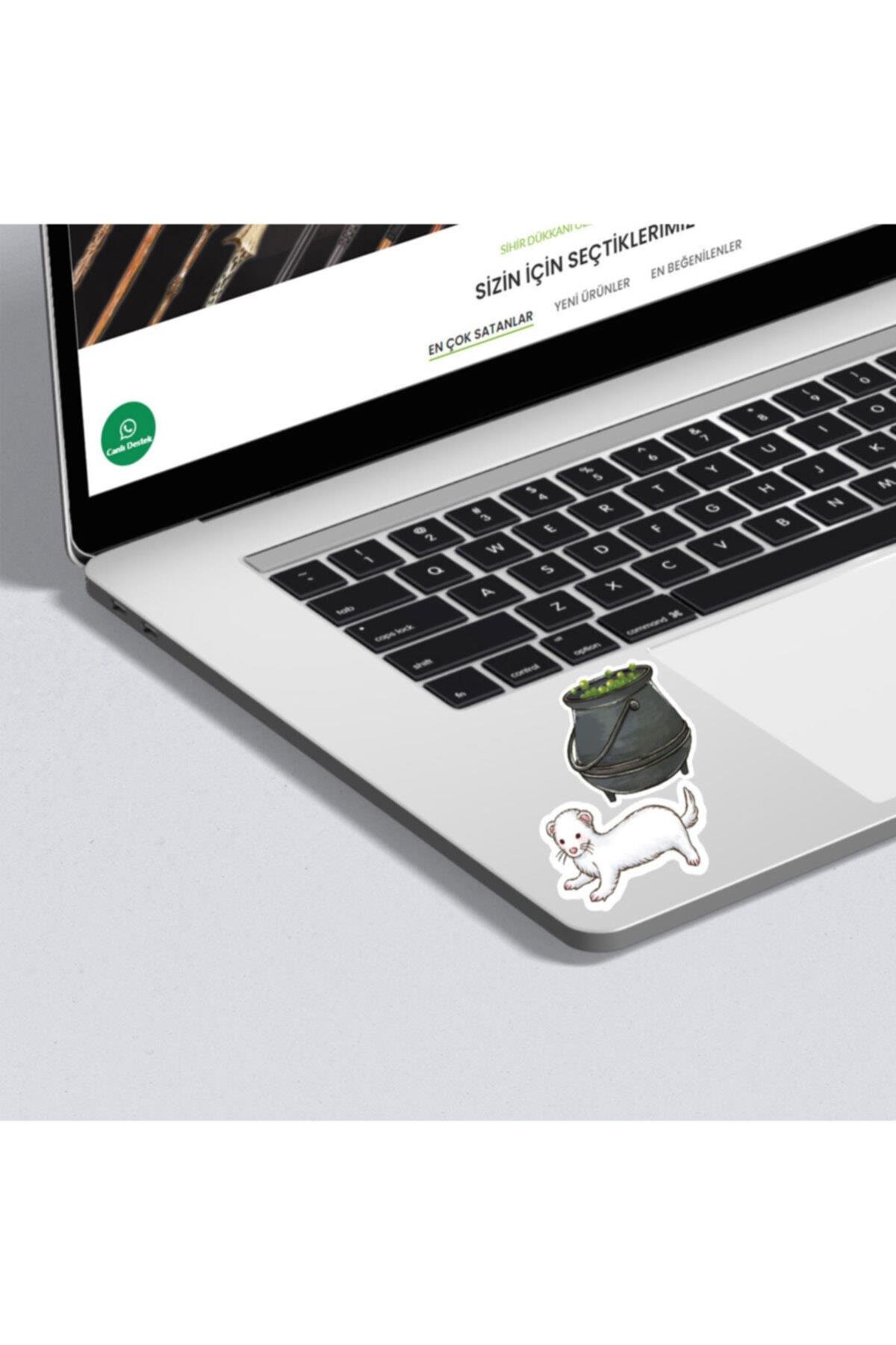 Draco Malfoy Lisanslı Sticker Set
