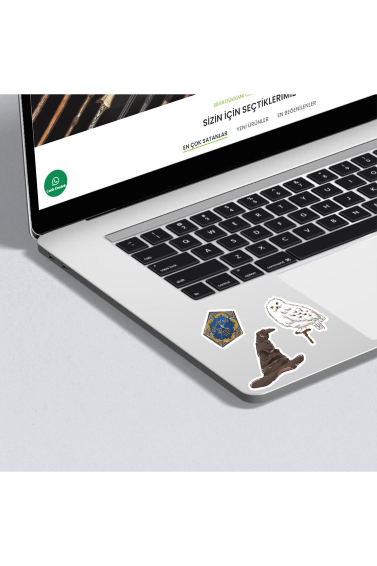 Harry Potter Sticker