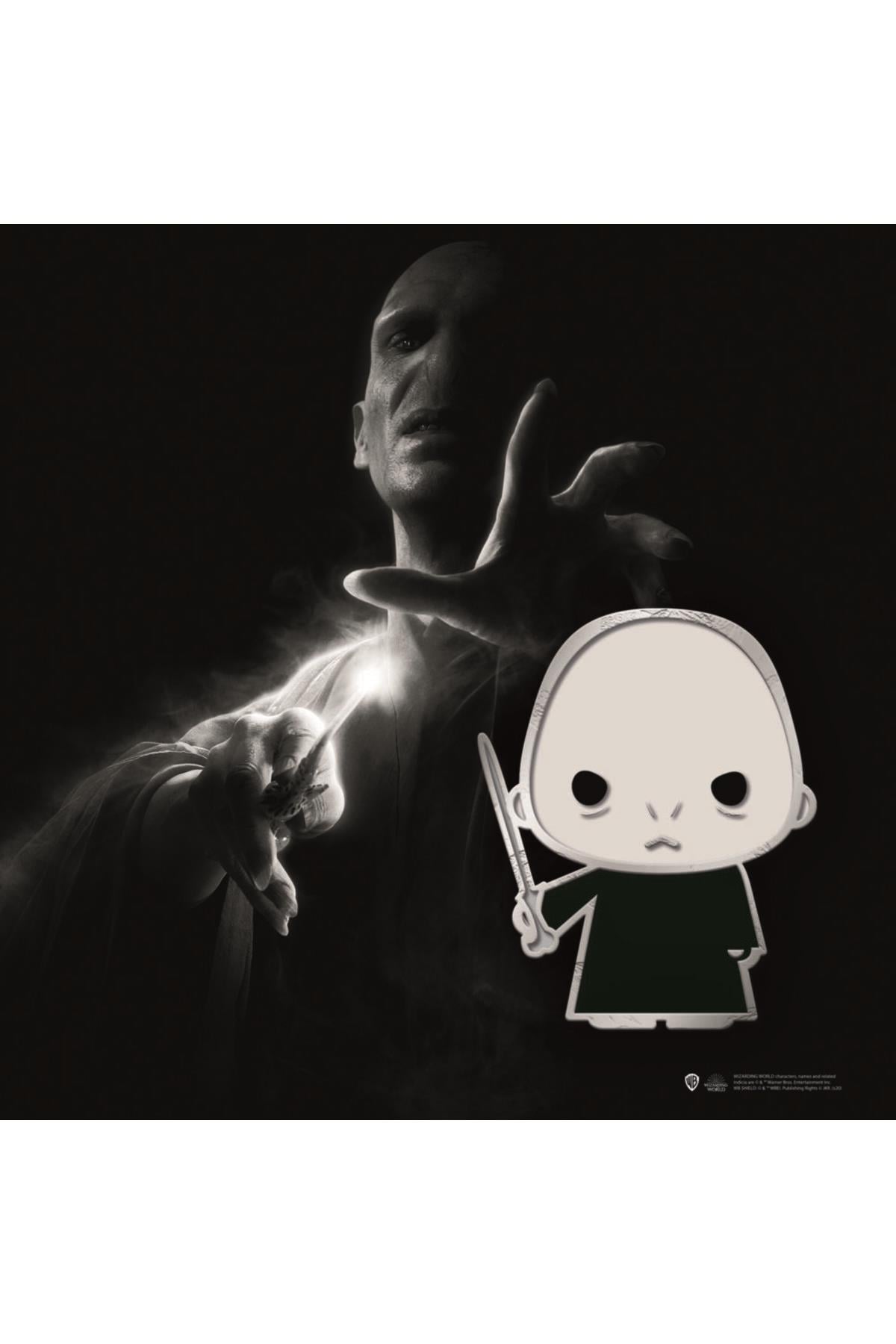 Wizarding World- Harry Potter Lord Voldemort Pin 3×4 Cm Lisanslı