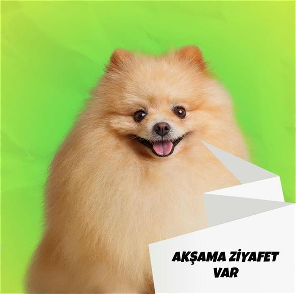 Mix Barf 6 kg 500 GR Salam Paket Tekli Ambalajlarda Köpek MamasI