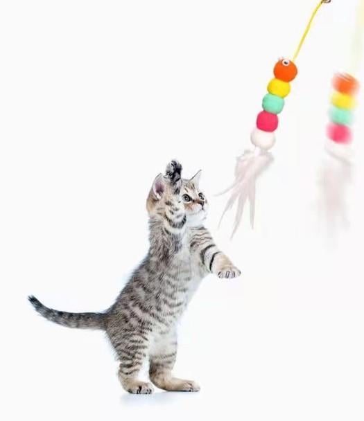 Elastik Yapışkanlı Kedi Oyun Oltası