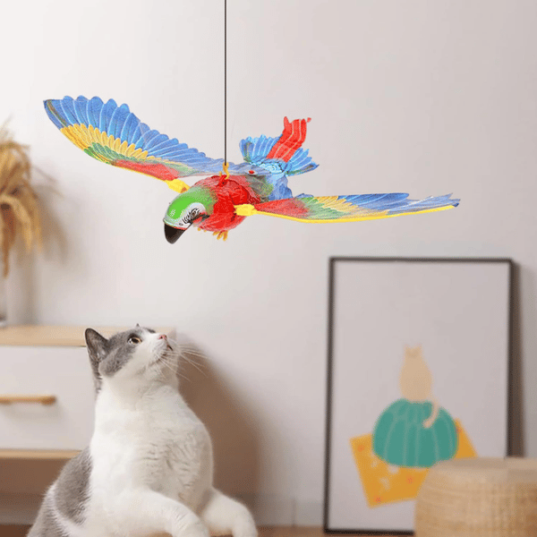 Uçan Papağan Kedi Oyuncağı