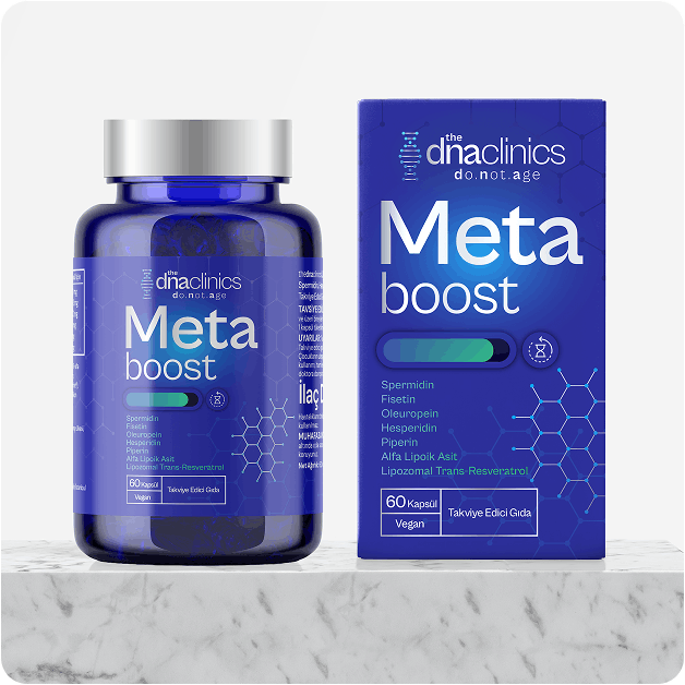 Metaboost