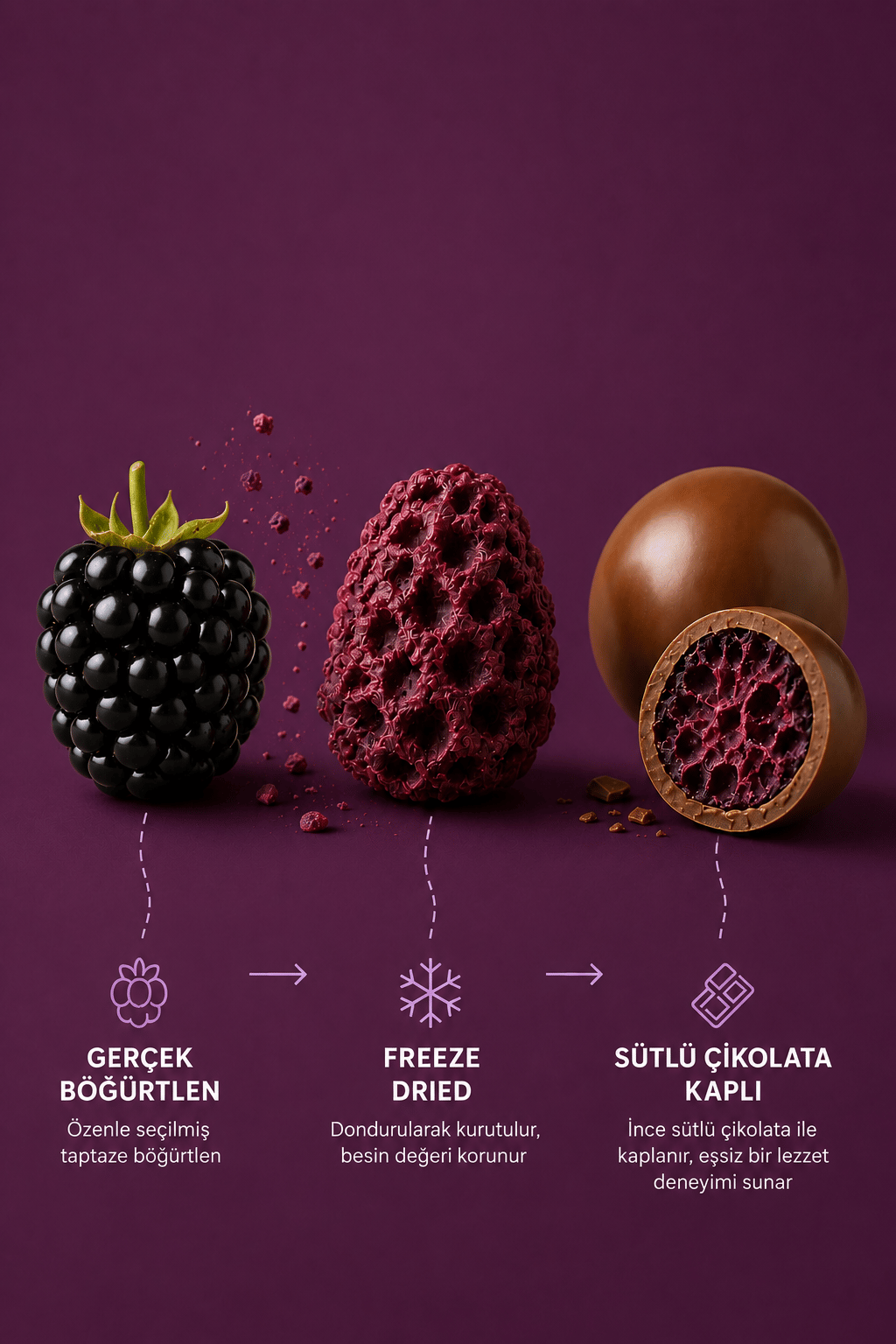 Sütlü Çikolatalı Böğürtlen 80 gr x 3 Adet