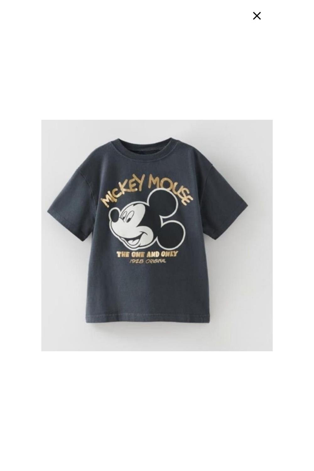 Erkek Çocuk Mıckey Mouse Karakter Baskılı Tişört