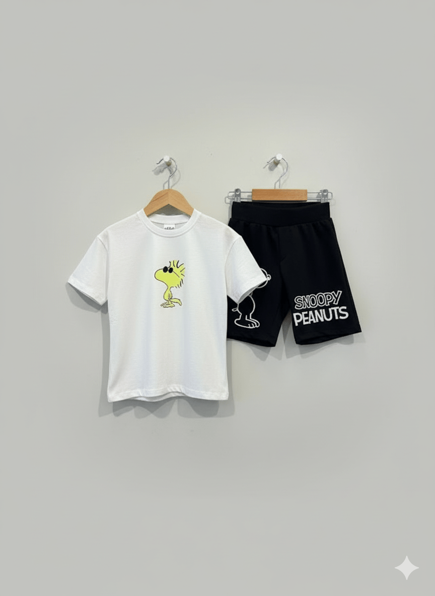 Erkek Çocuk Tshirt ve Şort Takım 