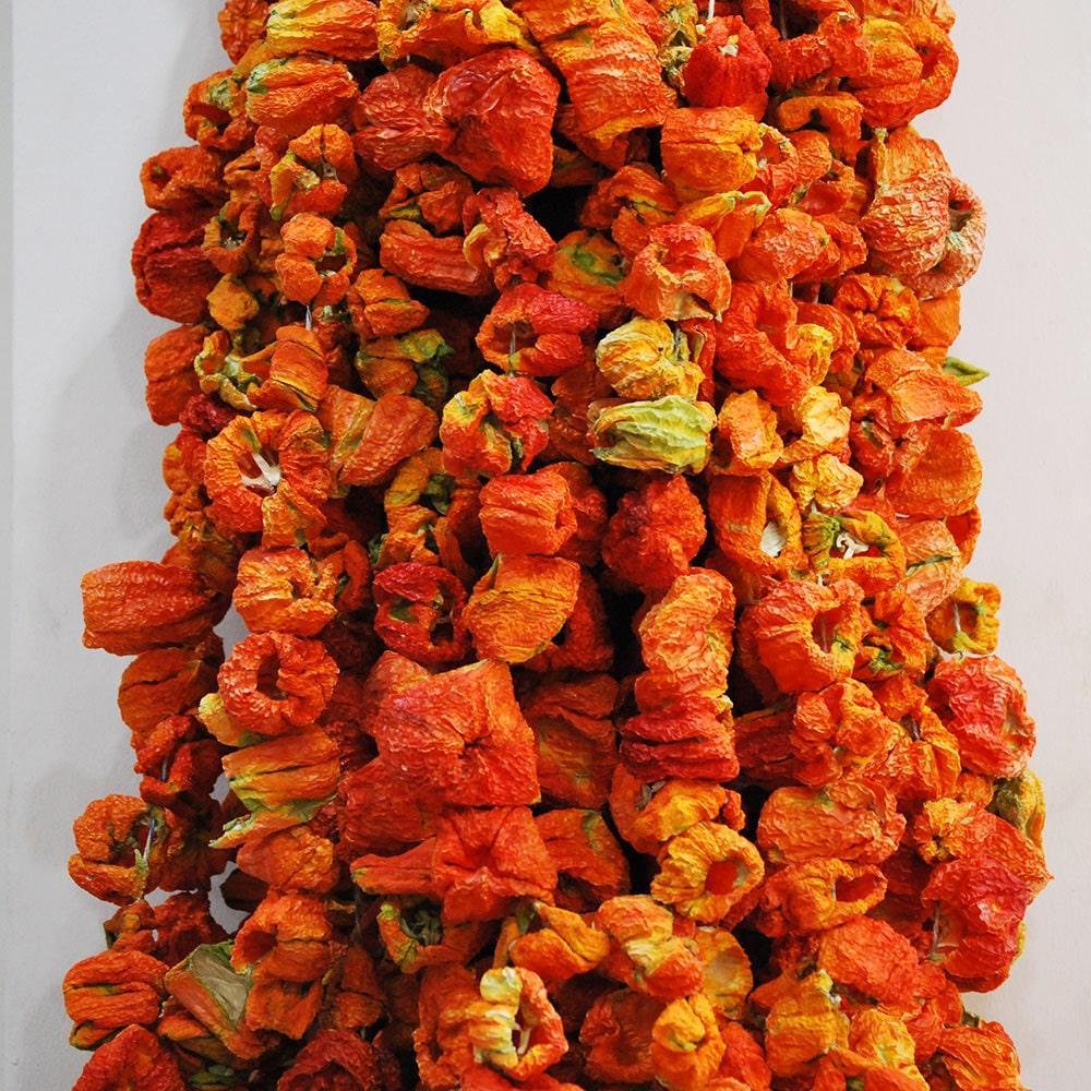 Biber Kurutma (Tatlı)