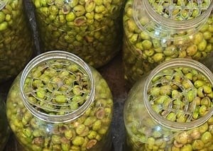 Köy Kırma Yeşil Zeytin