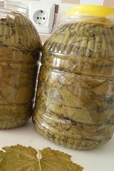 TOKAT ERBAA SALAMURA YAPRAK 5 LT BİDON 