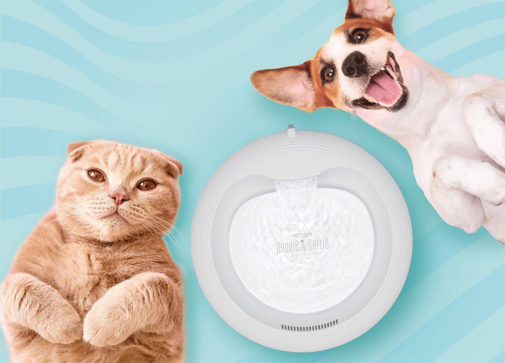 Cattie Su Pınarı Klasik Model Antrasit 2.5Lt