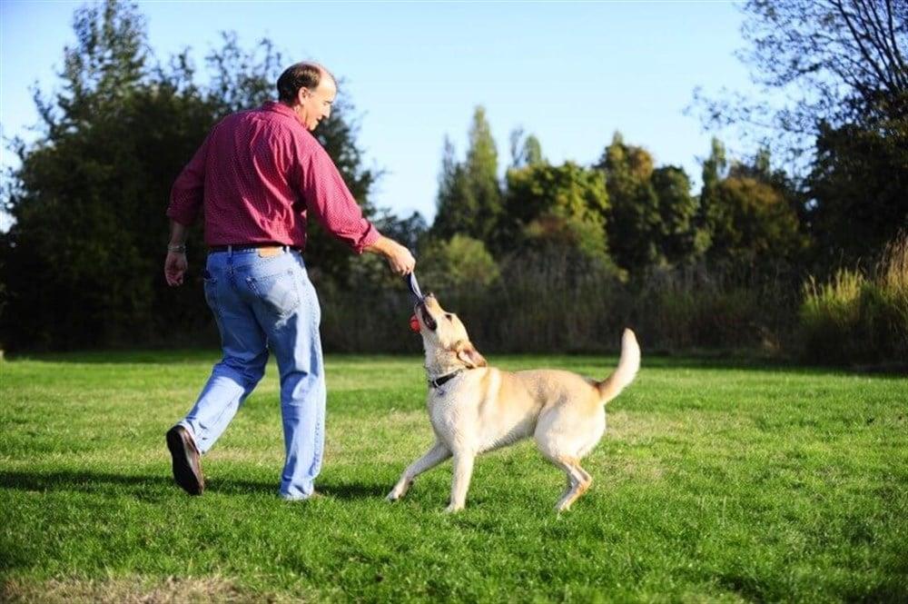 Chuckit! Ultra Duo Tug 2'li Köpek Çekiştirme Topu (Orta Boy)