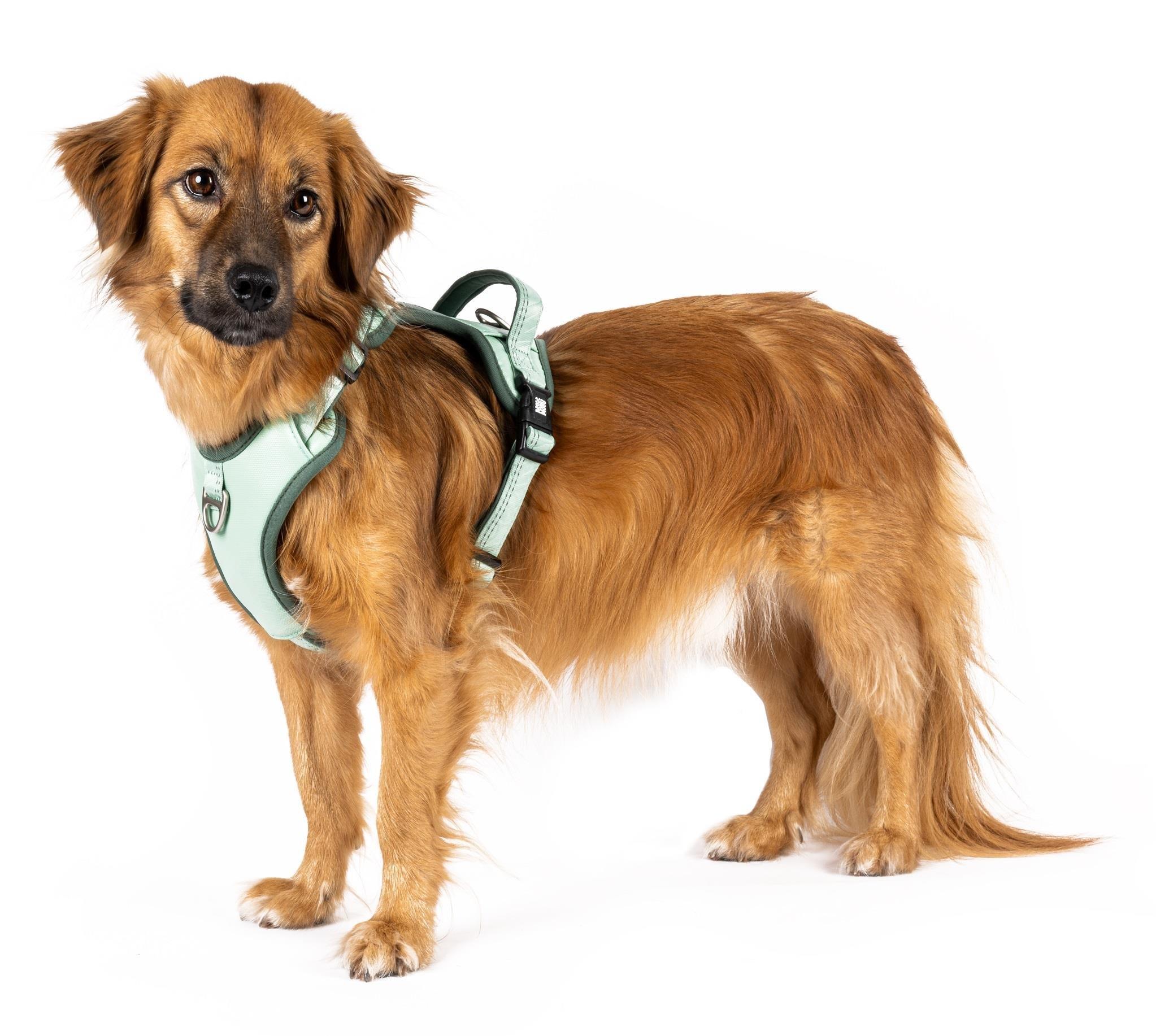 Matrix 2.0 Akıllı Künyeli Sport Köpek Göğüs Tasması - Jade