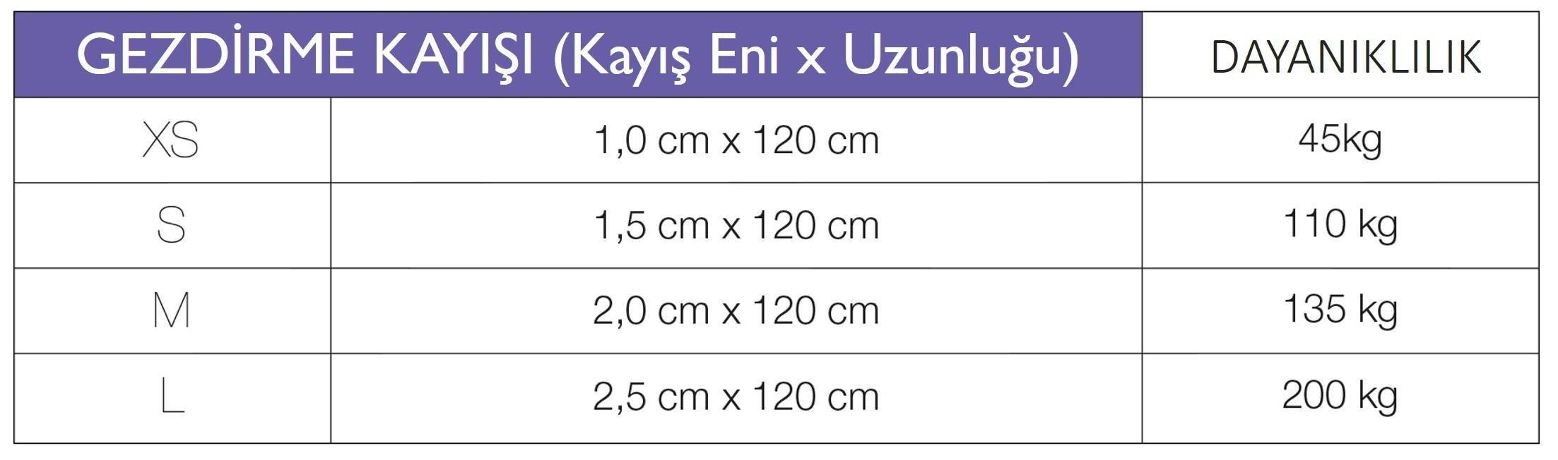 Matrix 2.0 Köpek Gezdirme Kayışı - Siyah