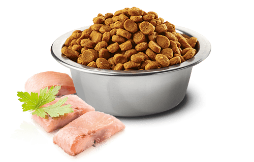 N&D OCEAN Ringa balığı ve portakal. Yetişkin kediler için formüle edilmiş tam mamadır. 1.5kg