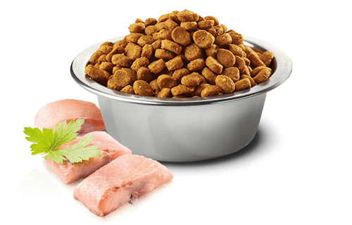 N&D OCEAN Ringa balığı ve portakal. Yetişkin kediler için formüle edilmiş tam mamadır. 1.5kg