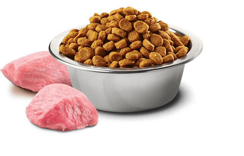 N&D PRIME Tavuk ve nar. Yavru kediler, gebe ve emzirme dönemindeki yetişkin kediler için formüle edilmiş tam mamadır. 1.5kg