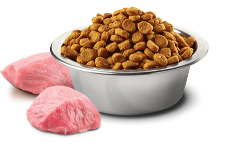 N&D PRIME Tavuk ve nar. Yavru kediler, gebe ve emzirme dönemindeki yetişkin kediler için formüle edilmiş tam mamadır. 1.5kg