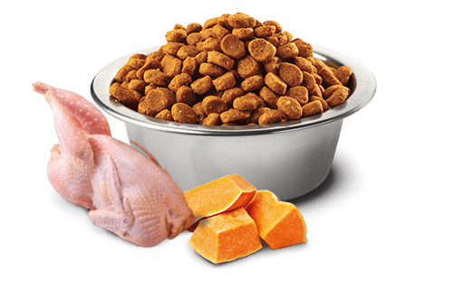 N&D PUMPKIN Bıldırcın, balkabağı ve nar . Yetişkin kediler için tam mamadır. 1.5kg