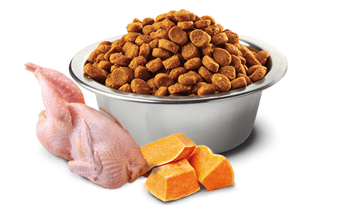 N&D PUMPKIN Bıldırcın, balkabağı ve nar . Yetişkin kediler için tam mamadır. 1.5kg