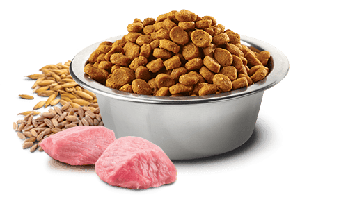 N&D Tropical Selection Yavru kediler ve gebelik veya emzirme dönemindeki kediler için tam mama 1.5kg
