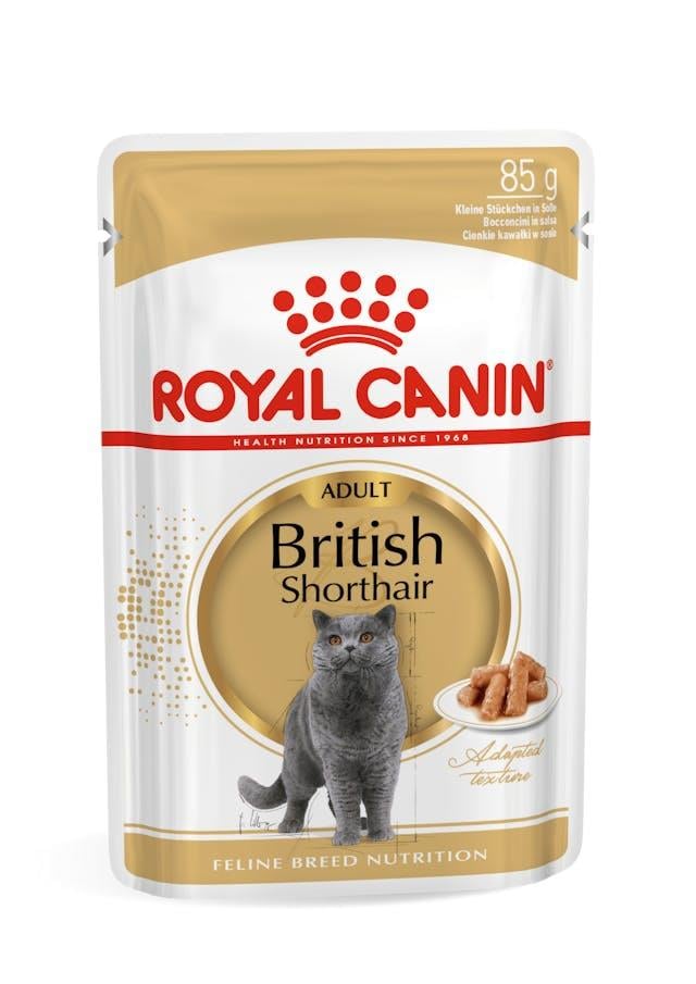 Royal Canin British Shorthair için Yaş Kedi Maması 85g